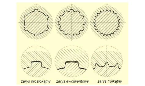 rodzaje-wielowypustow
